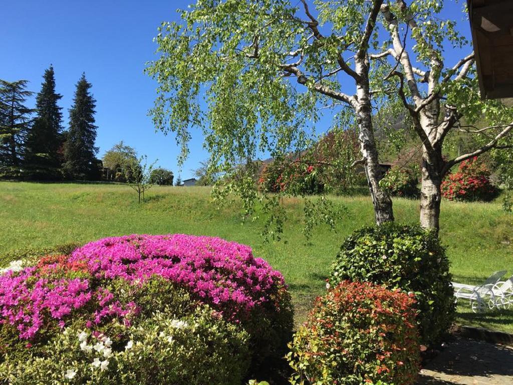 Le Betulle Villa Oggebbio Luaran gambar