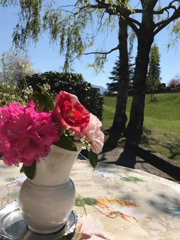 Le Betulle Villa Oggebbio Luaran gambar