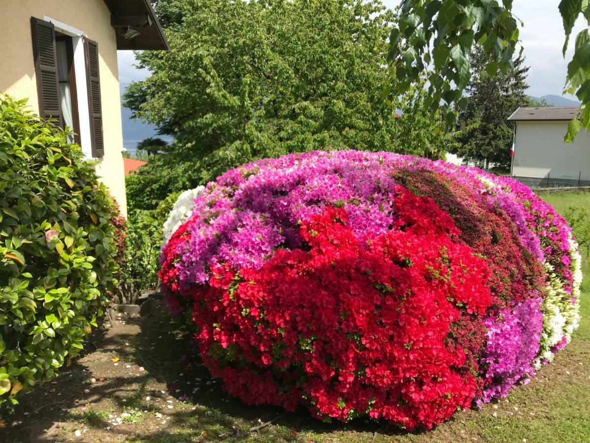 Le Betulle Villa Oggebbio Luaran gambar
