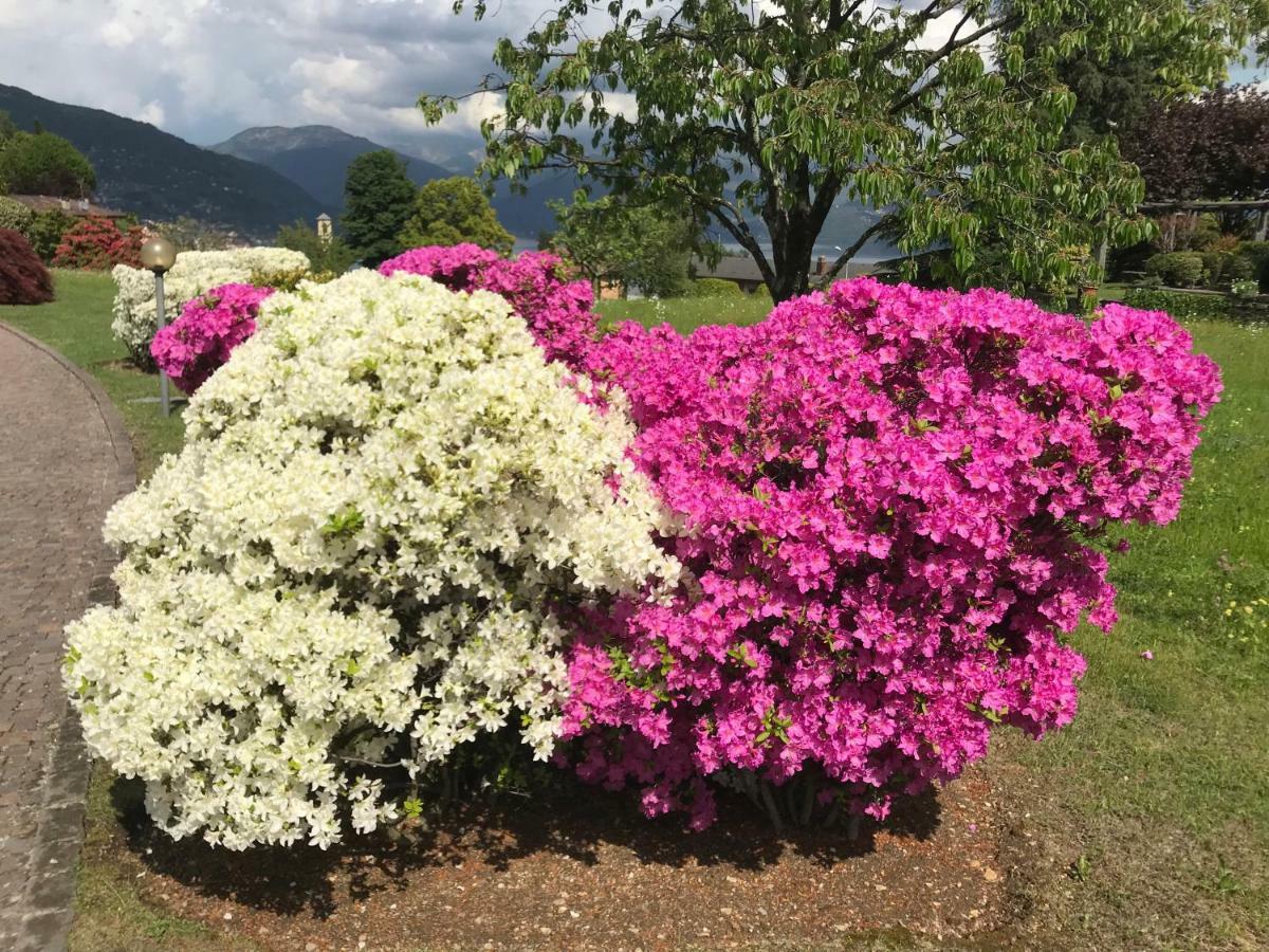 Le Betulle Villa Oggebbio Luaran gambar
